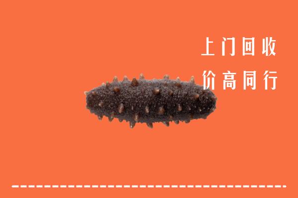 收购行情：盘龙区回收海参